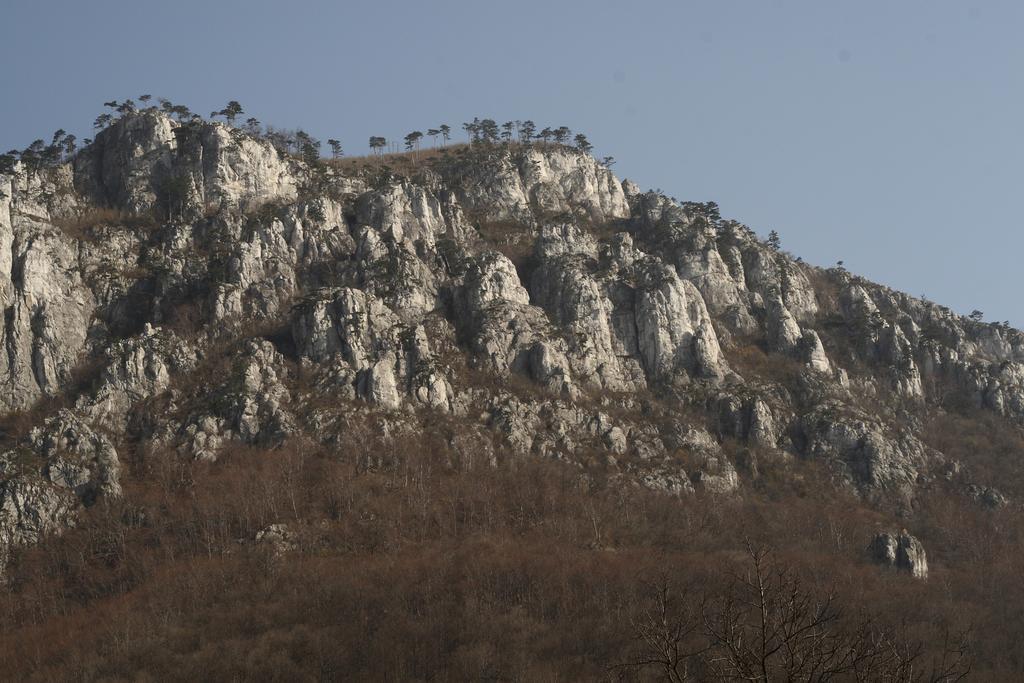 Pensiunea Floare De Colt Hotel Băile Herculane Buitenkant foto