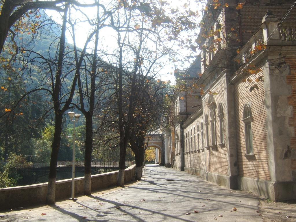 Pensiunea Floare De Colt Hotel Băile Herculane Buitenkant foto