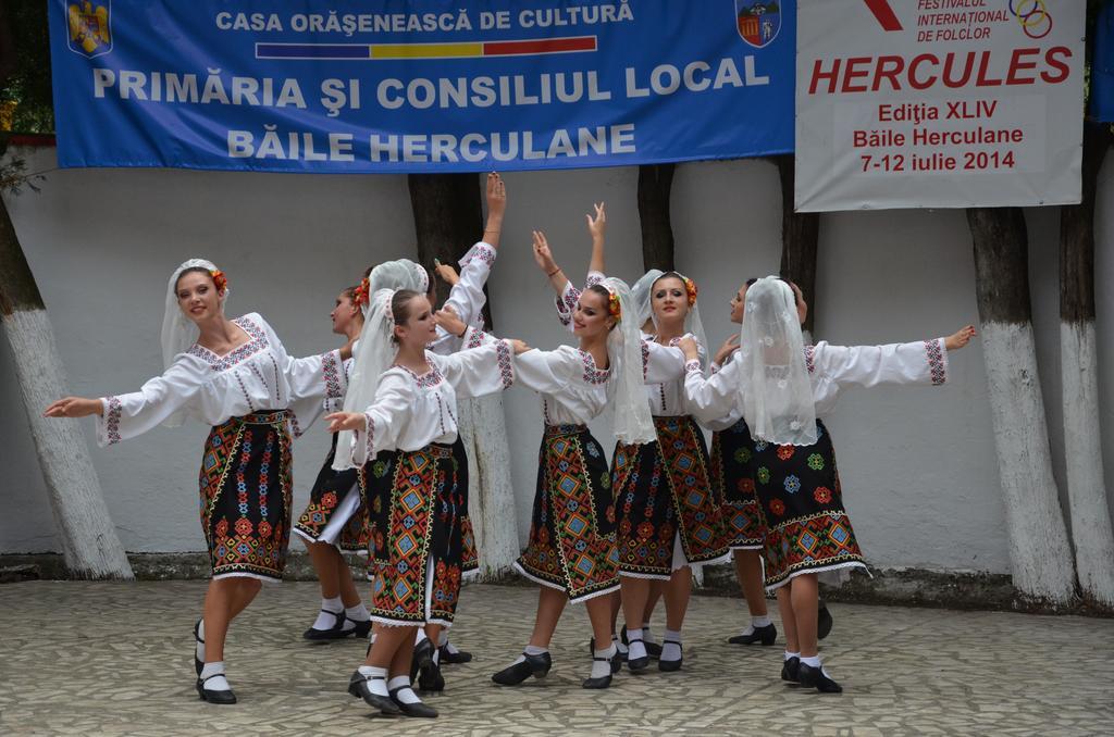 Pensiunea Floare De Colt Hotel Băile Herculane Buitenkant foto
